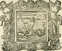 Picture 199 of 232 from Emblemata (1661), leaf 843