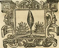 Picture 217 of 232 from Emblemata (1661), leaf 931