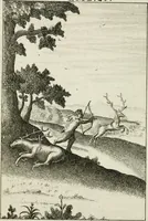 An illustration from Emblemata amatoria = Emblems of love = Embleme d'amore = Emblemes d'amour : in four languages, dedicated to the ladys (1683)