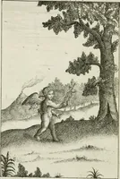 An illustration from Emblemata amatoria = Emblems of love = Embleme d'amore = Emblemes d'amour : in four languages, dedicated to the ladys (1683)