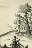 An illustration from Emblemata amatoria = Emblems of love = Embleme d'amore = Emblemes d'amour : in four languages, dedicated to the ladys (1683)