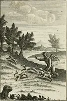 An illustration from Emblemata amatoria = Emblems of love = Embleme d'amore = Emblemes d'amour : in four languages, dedicated to the ladys (1683)