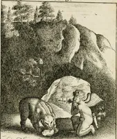 An illustration from Emblemata amatoria = Emblems of love = Embleme d'amore = Emblemes d'amour : in four languages, dedicated to the ladys (1683)