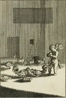 Picture 14 of 44 from Emblemata amatoria = Emblems of love = Embleme d'amore = Emblemes d'amour : in four languages, dedicated to the ladys (1683), leaf 55