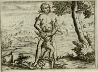 An illustration from Emblemata amatoria Georgii Camerarii (1627)