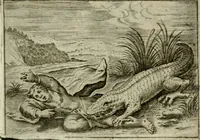 An illustration from Emblemata amatoria Georgii Camerarii (1627)
