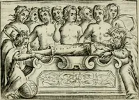 Picture 97 of 99 from Emblemata amatoria Georgii Camerarii (1627), leaf 196