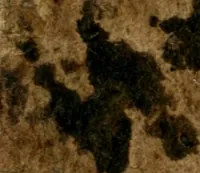 An illustration from Emblemata amatoria Georgii Camerarii (1627)