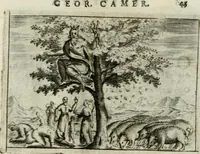 Picture 24 of 99 from Emblemata amatoria Georgii Camerarii (1627), leaf 48