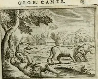 Picture 32 of 99 from Emblemata amatoria Georgii Camerarii (1627), leaf 60