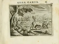 Picture 33 of 99 from Emblemata amatoria Georgii Camerarii (1627), leaf 61