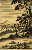 An illustration from Emblemata amatoria : emblemes d'amour en quatre langue [i.e. langues] (1690)