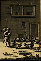 An illustration from Emblemata amatoria : emblemes d'amour en quatre langue [i.e. langues] (1690)