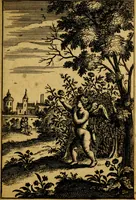 Picture 22 of 47 from Emblemata amatoria : emblemes d'amour en quatre langue [i.e. langues] (1690), leaf 90