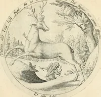 An illustration from Emblemata amatoria, iam demum emendata (1608)