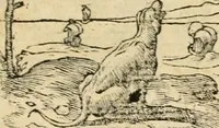An illustration from Emblemata Andreae Alciati, iurisconsulti clarissimi (1548)