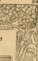 An illustration from Emblemata Andreae Alciati, iurisconsulti clarissimi (1548)