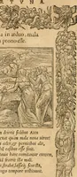 An illustration from Emblemata Andreae Alciati, iurisconsulti clarissimi (1548)