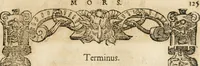 Picture 236 of 304 from Emblemata Andreae Alciati, iurisconsulti clarissimi (1548), leaf 128