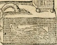 Picture 238 of 304 from Emblemata Andreae Alciati, iurisconsulti clarissimi (1548), leaf 128