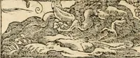 Picture 240 of 304 from Emblemata Andreae Alciati, iurisconsulti clarissimi (1548), leaf 129