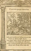 An illustration from Emblemata Andreae Alciati, iurisconsulti clarissimi (1548)