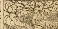 An illustration from Emblemata Andreae Alciati, iurisconsulti clarissimi (1548)
