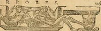 Picture 302 of 304 from Emblemata Andreae Alciati, iurisconsulti clarissimi (1548), leaf 166
