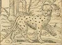 An illustration from Emblemata Andreae Alciati, iurisconsulti clarissimi (1548)