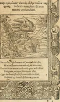 An illustration from Emblemata Andreae Alciati, iurisconsulti clarissimi (1548)