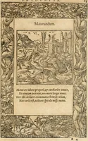An illustration from Emblemata Andreae Alciati, iurisconsulti clarissimi (1548)