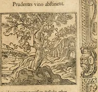An illustration from Emblemata Andreae Alciati, iurisconsulti clarissimi (1548)