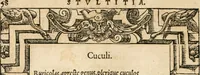 Picture 111 of 304 from Emblemata Andreae Alciati, iurisconsulti clarissimi (1548), leaf 61