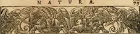 Picture 150 of 304 from Emblemata Andreae Alciati, iurisconsulti clarissimi (1548), leaf 82