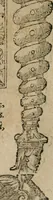 An illustration from Emblemata Andreae Alciati ... (1548)
