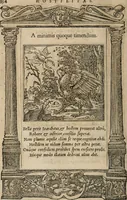 An illustration from Emblemata Andreae Alciati ... (1548)