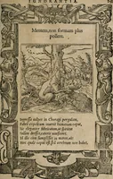An illustration from Emblemata Andreae Alciati ... (1548)