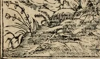 An illustration from Emblemata Andreae Alciati ... (1548)