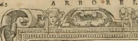 An illustration from Emblemata Andreae Alciati ... (1548)
