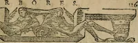 An illustration from Emblemata Andreae Alciati ... (1548)