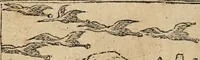 An illustration from Emblemata Andreae Alciati ... (1548)