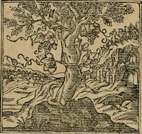 An illustration from Emblemata Andreae Alciati ... (1548)