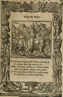 An illustration from Emblemata Andreae Alciati ... (1548)