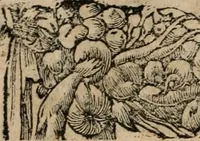 An illustration from Emblemata Andreae Alciati ... (1548)