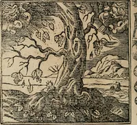 An illustration from Emblemata Andreae Alciati ... (1548)