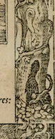 An illustration from Emblemata Andreae Alciati ... (1548)