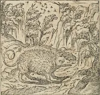 An illustration from Emblemata Andreae Alciati ... (1548)