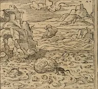 An illustration from Emblemata Andreae Alciati ... (1548)