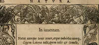 An illustration from Emblemata Andreae Alciati ... (1548)