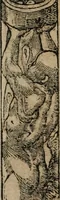 An illustration from Emblemata Andreae Alciati ... (1548)